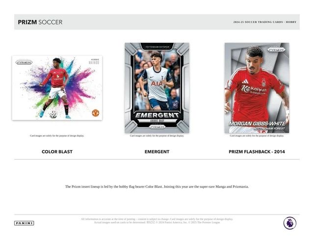 Sealed Case Panini Prizm 2024/25 (12 Boxes) – Hobby